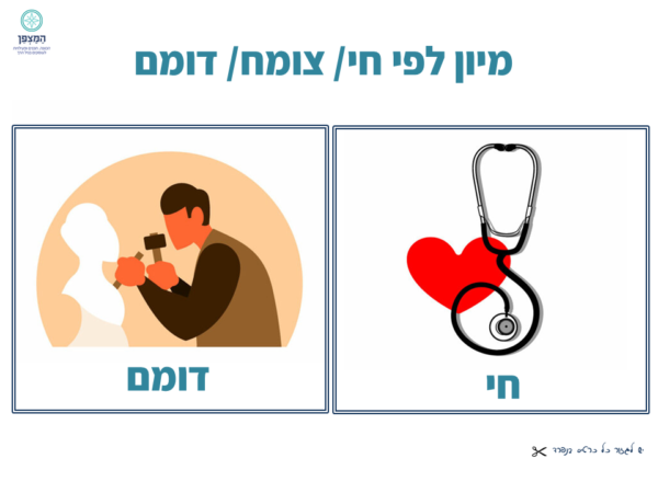 ⁦משחקי מיון⁩ – תמונה ⁦4⁩