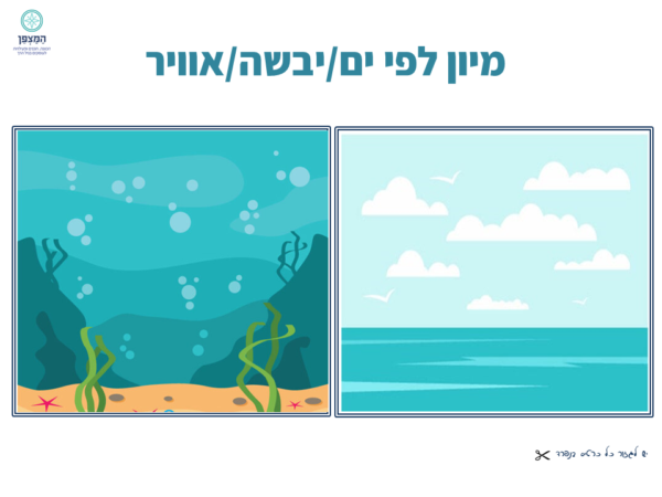 ⁦משחקי מיון⁩ – תמונה ⁦5⁩